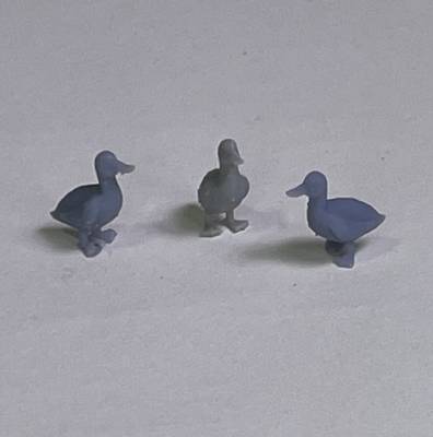 Ducks (3)